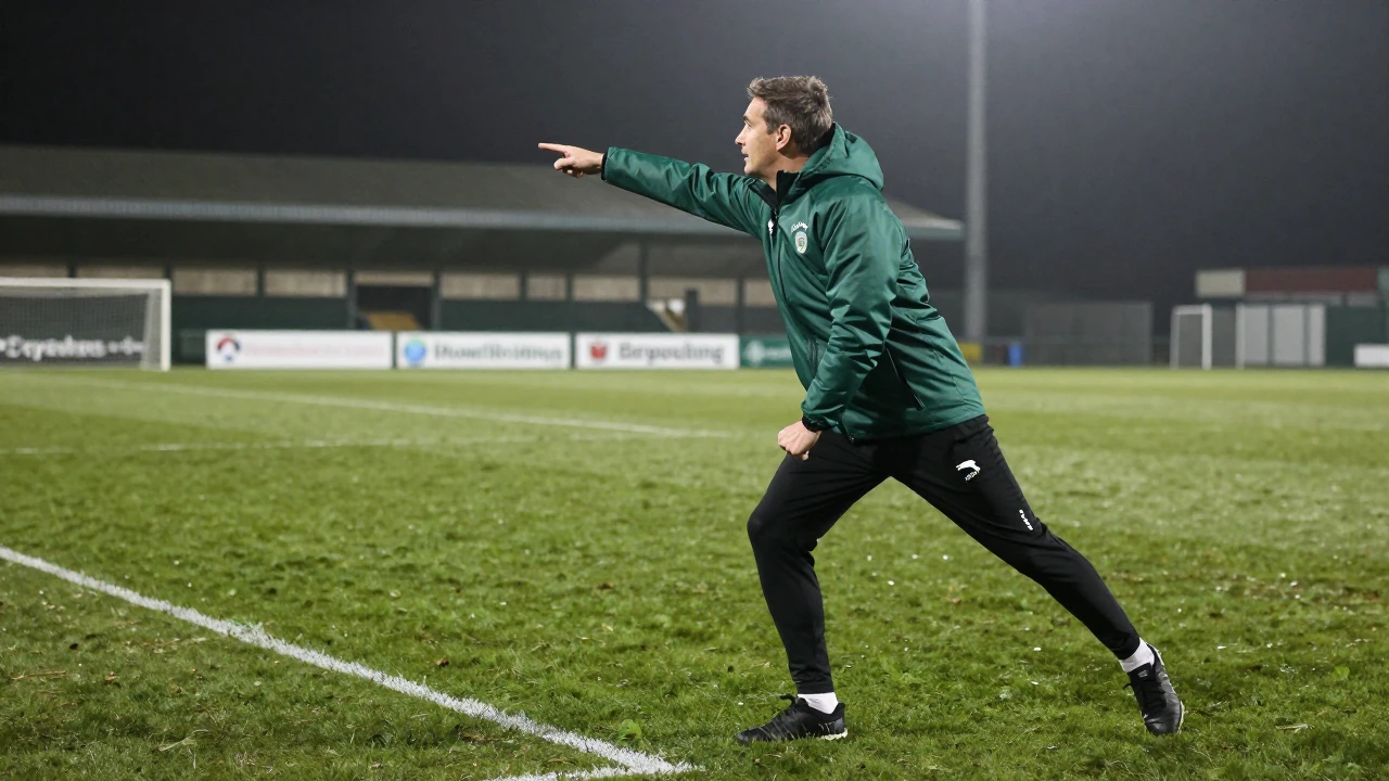 Shane McCabe says appointing Duncan Ferguson would be a 'big risk' for Glentoran