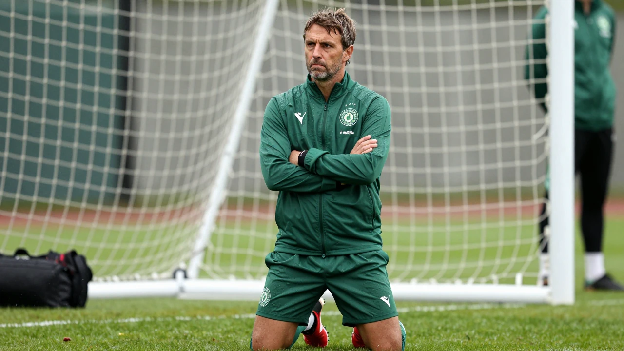 Scott Young says Gary Hamilton's proven record makes him the ideal candidate to take over as Glentoran manager and...