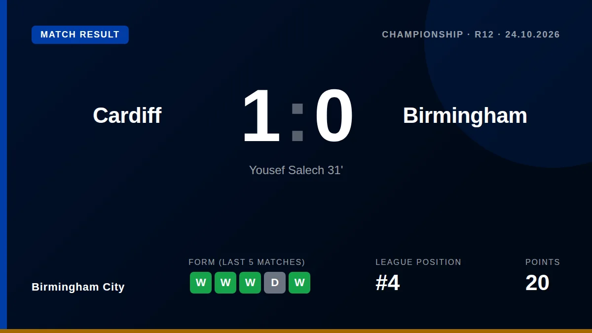 Birmingham City's three-match winning streak was halted by a 1-0 defeat at Cardiff City Stadium, a result that keeps them...