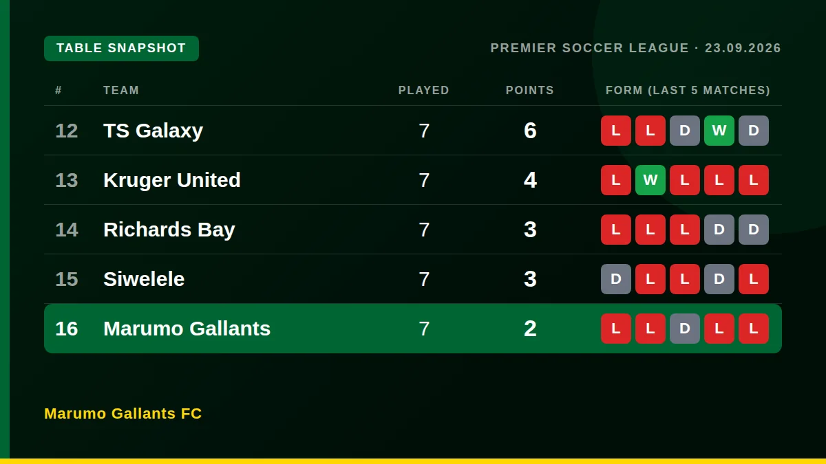 Marumo Gallants FC: Table snapshot