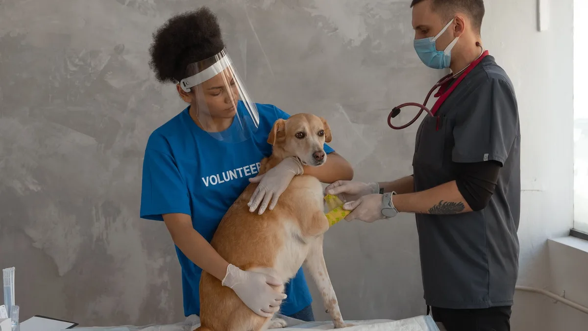 The Roblox Innovation Awards 2026 winners were announced in San Jose on Saturday, with 'Animal Hospital' winning multiple...