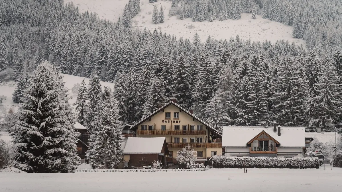 Books Ideas: Winter lodge, snowy cabin, pine forest, guesthouse, cozy escape, mountain retreat.