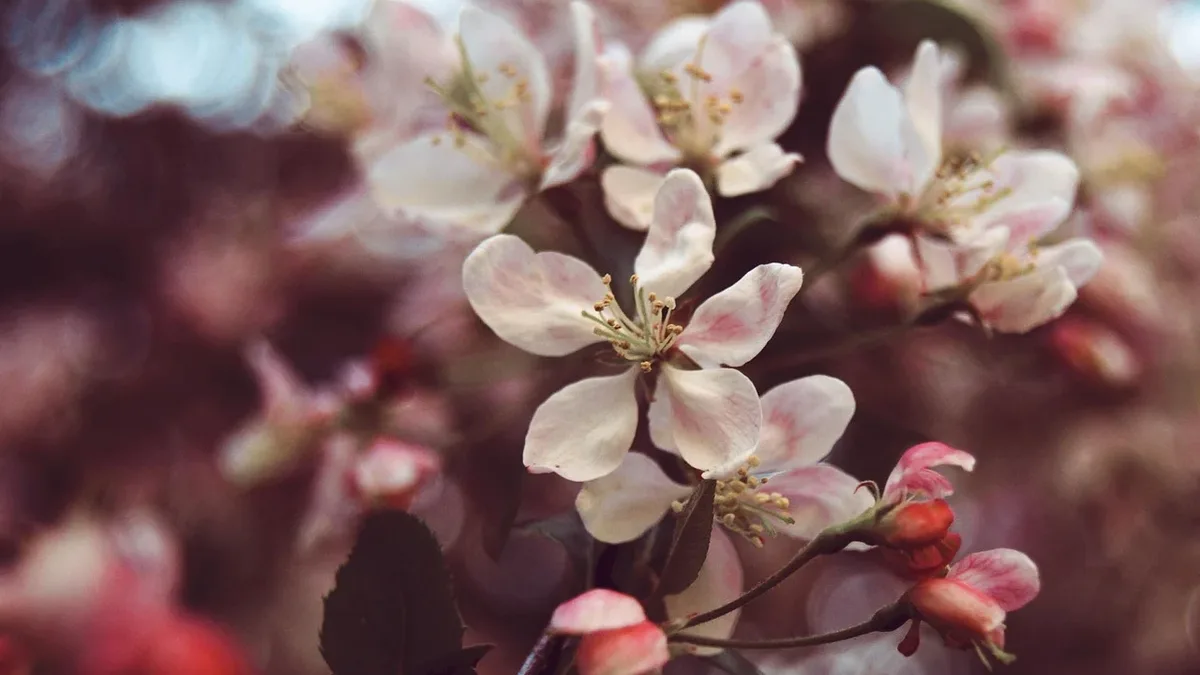 Gardening expert Mary Ellen Ellis lists four common mistakes that cause aphid problems and gives practical tips to...