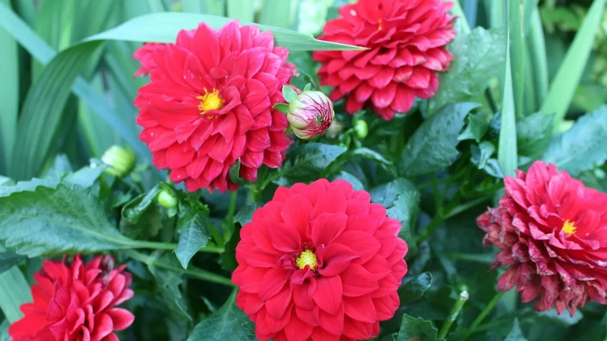 Mixed-media artist Bibby Gignilliat has transformed her Mill Valley, California garden into a vibrant, unstructured...