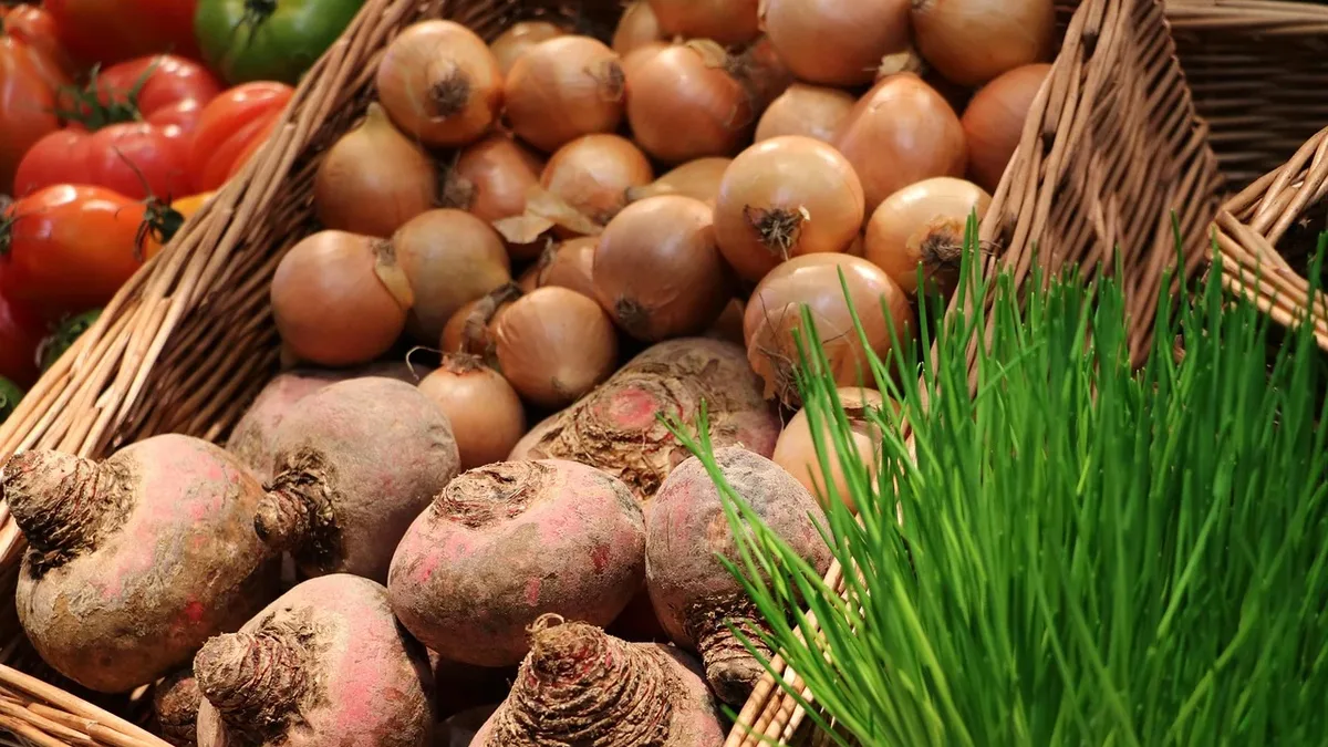 David and Victoria Beckham's vegetable garden features Shakespeare onions, Black Seeded Simpson lettuce, and...