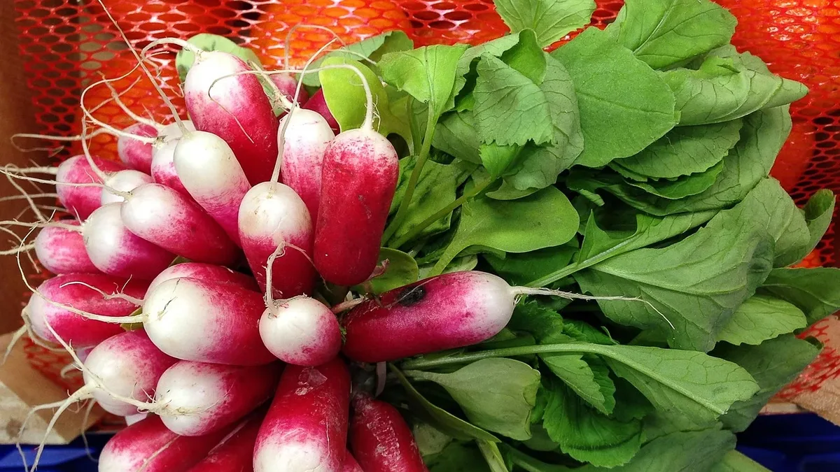 A gardening guide lists vegetables and herbs that thrive with three to six hours of daily sun, such as spinach, Swiss...