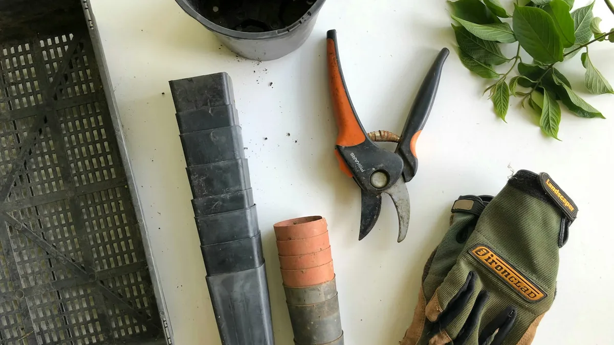 A former garden center manager reveals the seasonal timing for securing the deepest discounts on plants and tools...