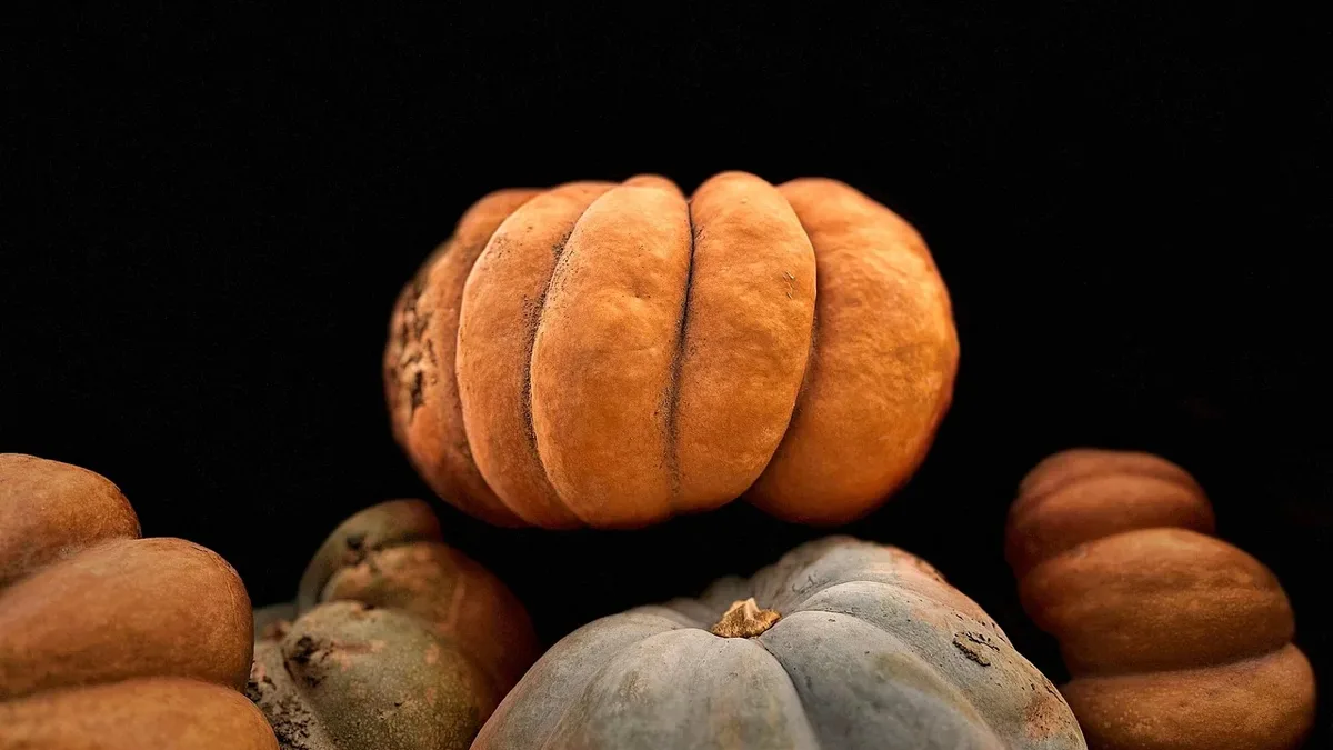 Gardening Know How offers ten inexpensive ways to add fall color to a yard, from planting bulbs to DIY water features...