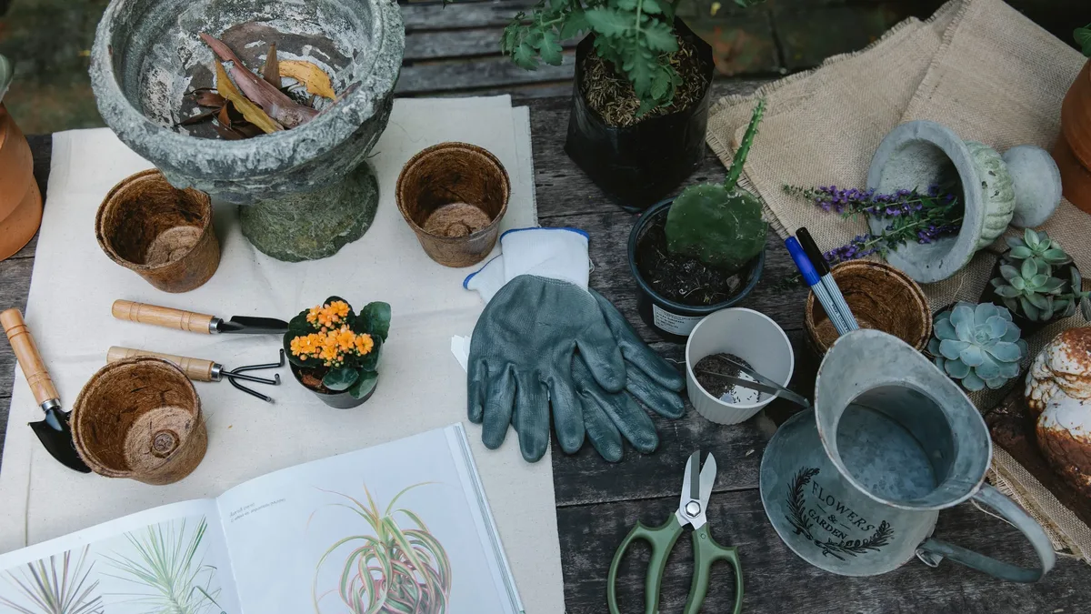 Gardeners must verify self-watering containers and raised beds have an overflow drainage hole before September's heavy...