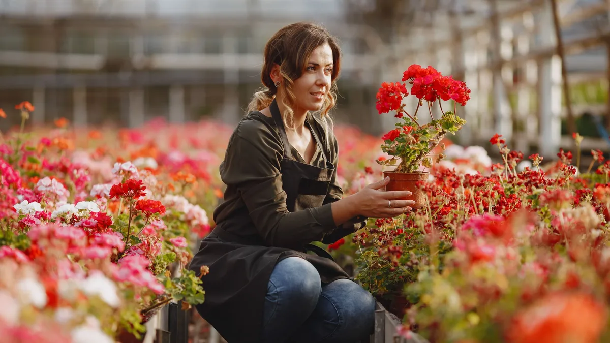 Garden Care: A Christmas cactus losing leaves in October signals environmental stress
