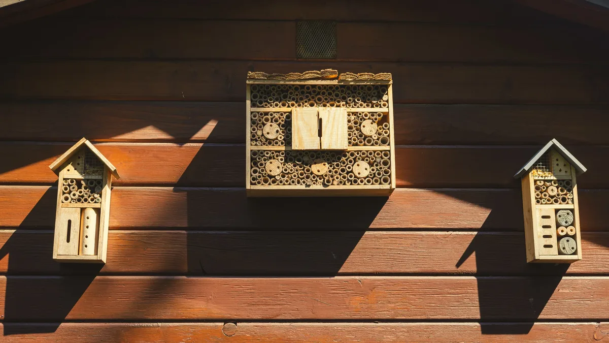 Gardening Know How suggests building insect hotels in September to provide beneficial bugs with winter shelter, offering...