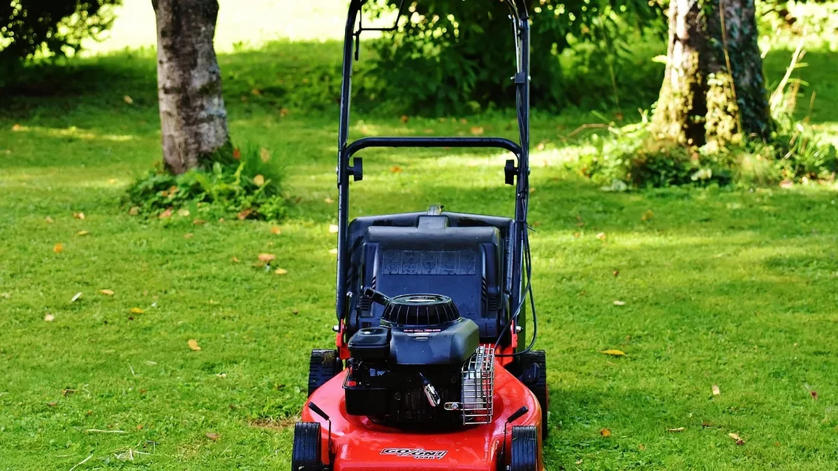 After lightning destroyed a key shade tree, exposing his garden to full sun, retired horticulturist Ed Lyon details an...