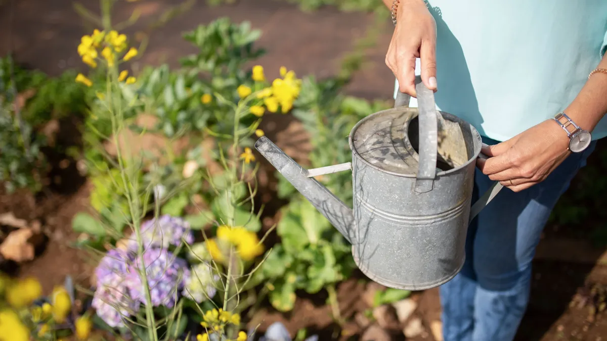 Transform your garden by building mounds, a technique that adds visual interest, supports diverse planting, and enhances...