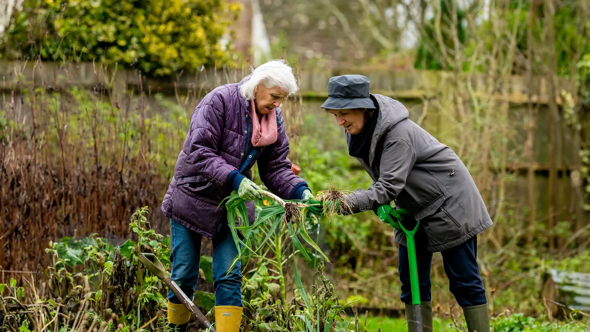 Fine Gardening's GPOD feature shows six reader-submitted ideas for transitioning container gardens and displays into...