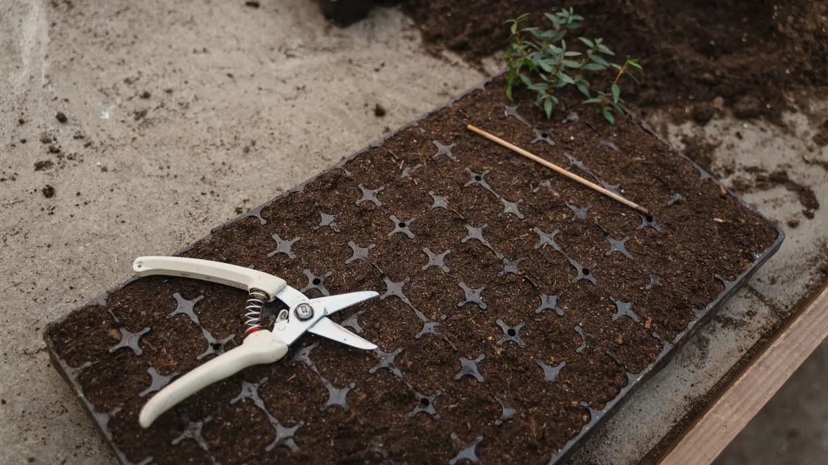 Gardening expert Teo Spengler advises against fall pruning for five specific perennials, arguing that leaving them...