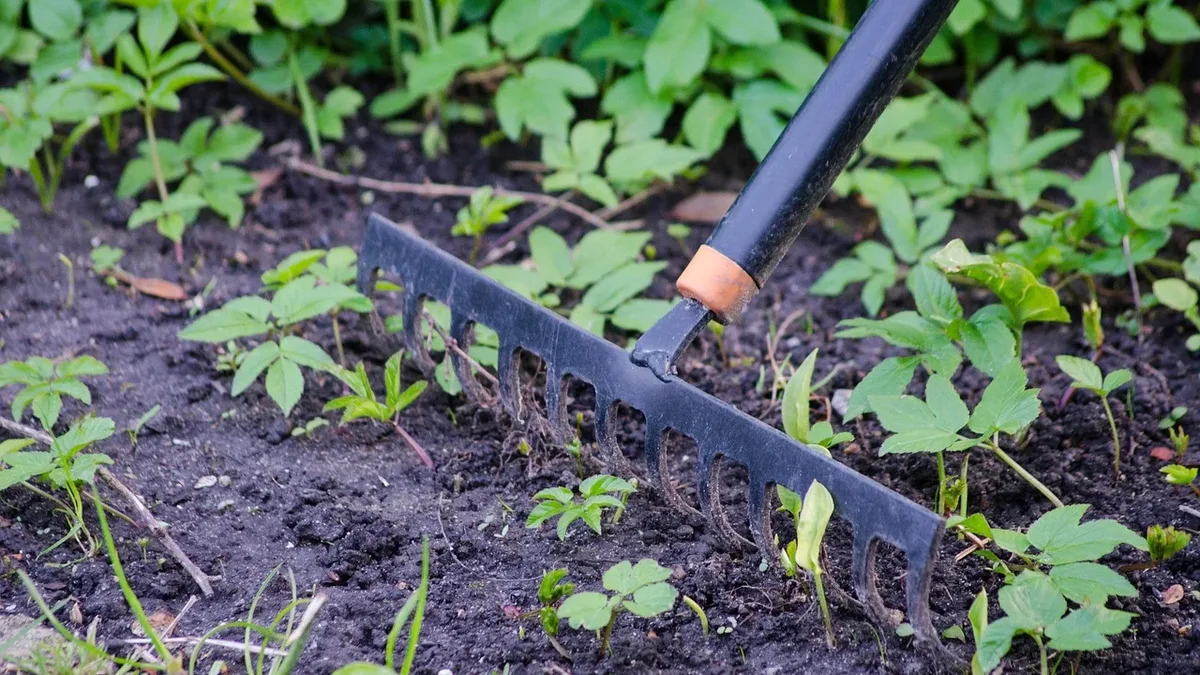 Fine Gardening outlines five effective weeding strategies based on plant biology, covering rhizomes, super-seeders...