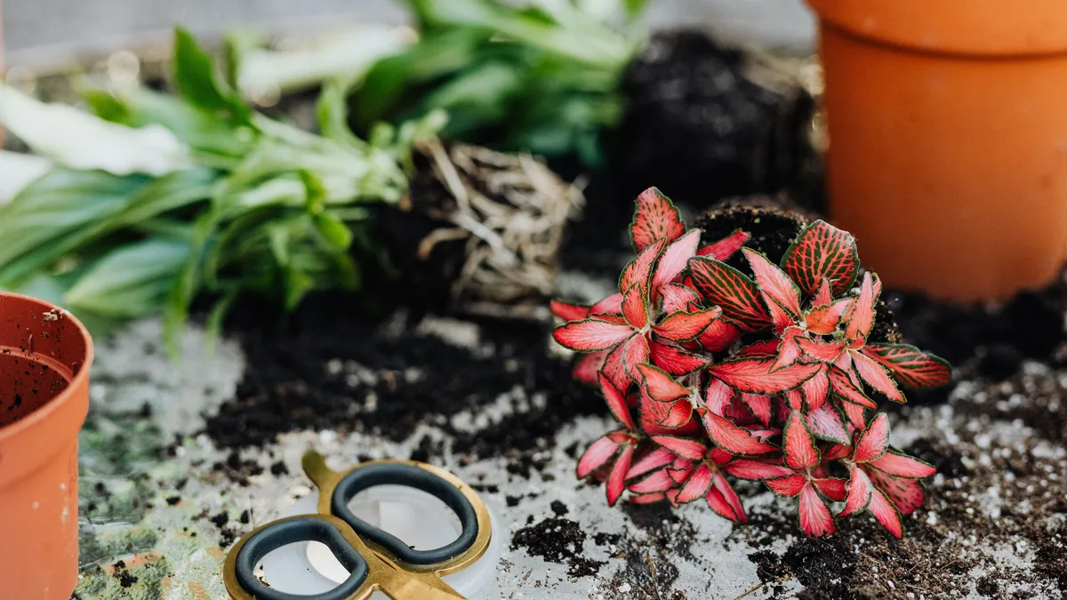 A comparison of French and English gardening styles reveals that French gardening tends to be more conventional and urban in...