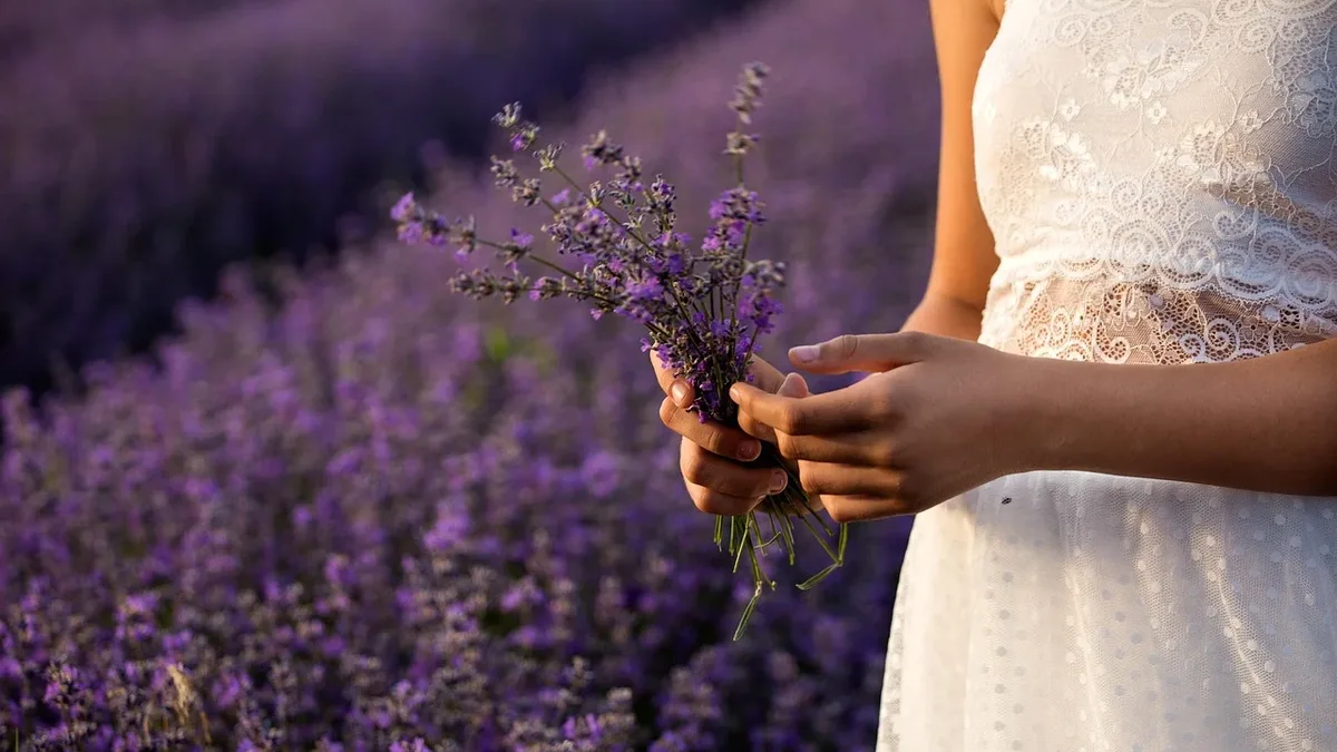 As Britain faces its fifth heatwave of the summer, gardeners and allotment holders are sharing their experiences with the...