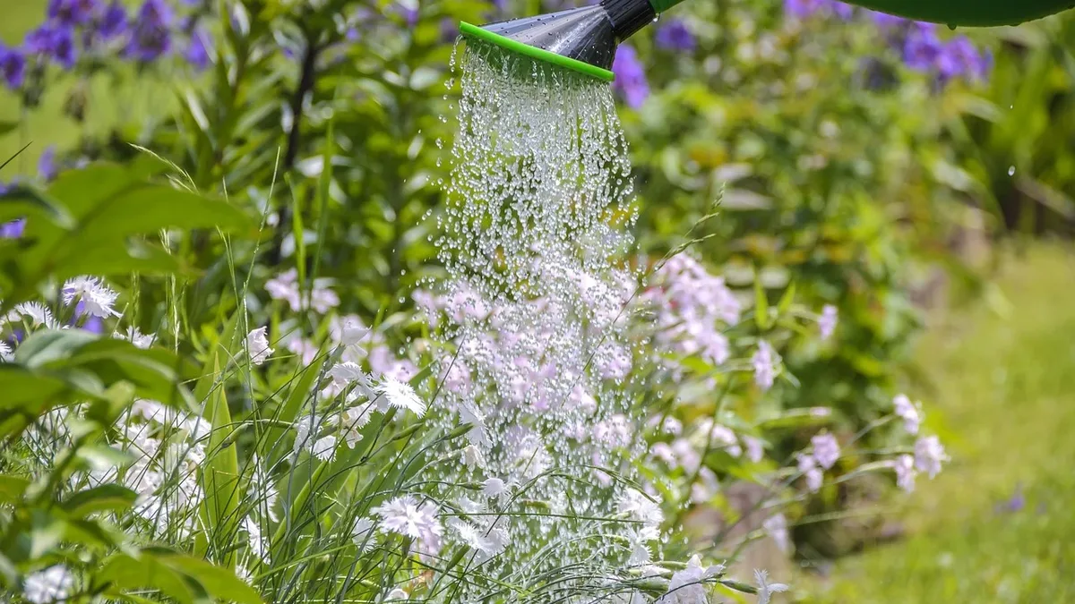The source provides nine landscape design strategies to make gardens feel cooler during summer heatwaves, focusing on...