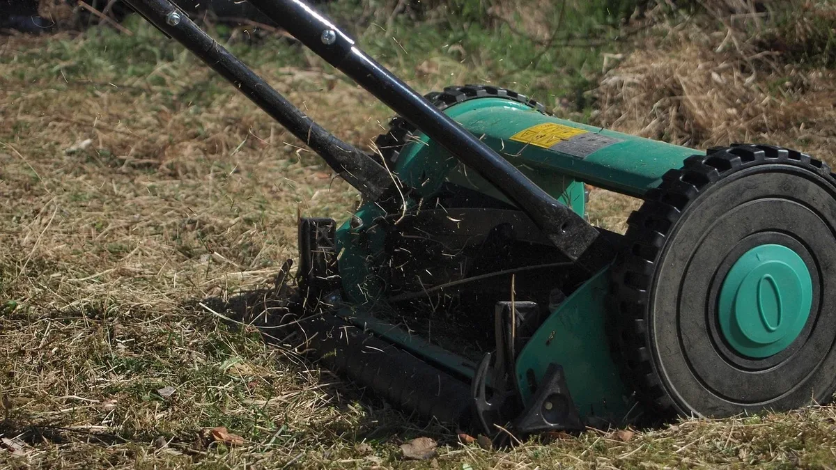 Plants: August lawn mowing should be responsive, not scheduled