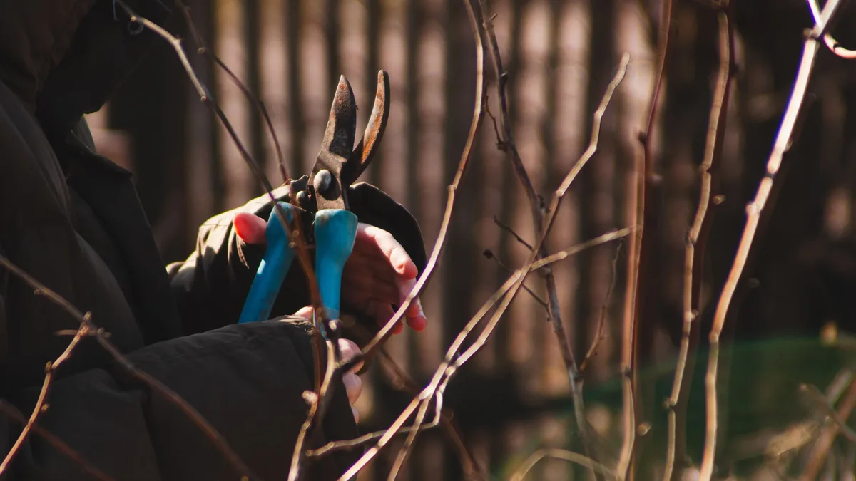 An American couple replaced their suburban lawn with native plants, creating a thriving ecosystem that attracts pollinators...