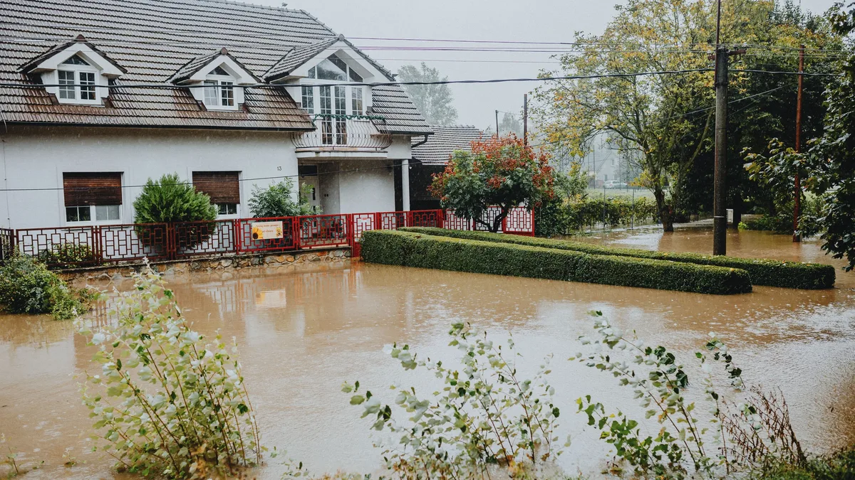A gardening lawyer explains how common landscaping changes can alter natural water flow, potentially making a homeowner...