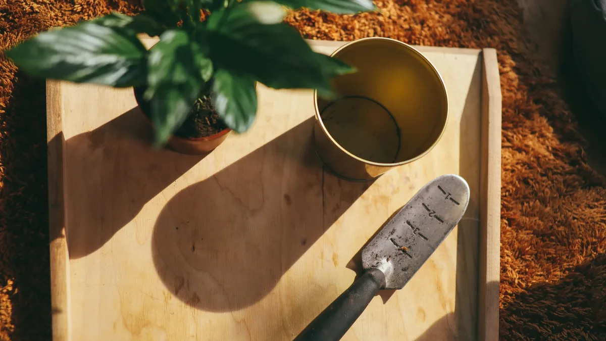 A gardening writer suggests using a sticky lint roller as a tool for detecting tiny pests like thrips and spider mites on...