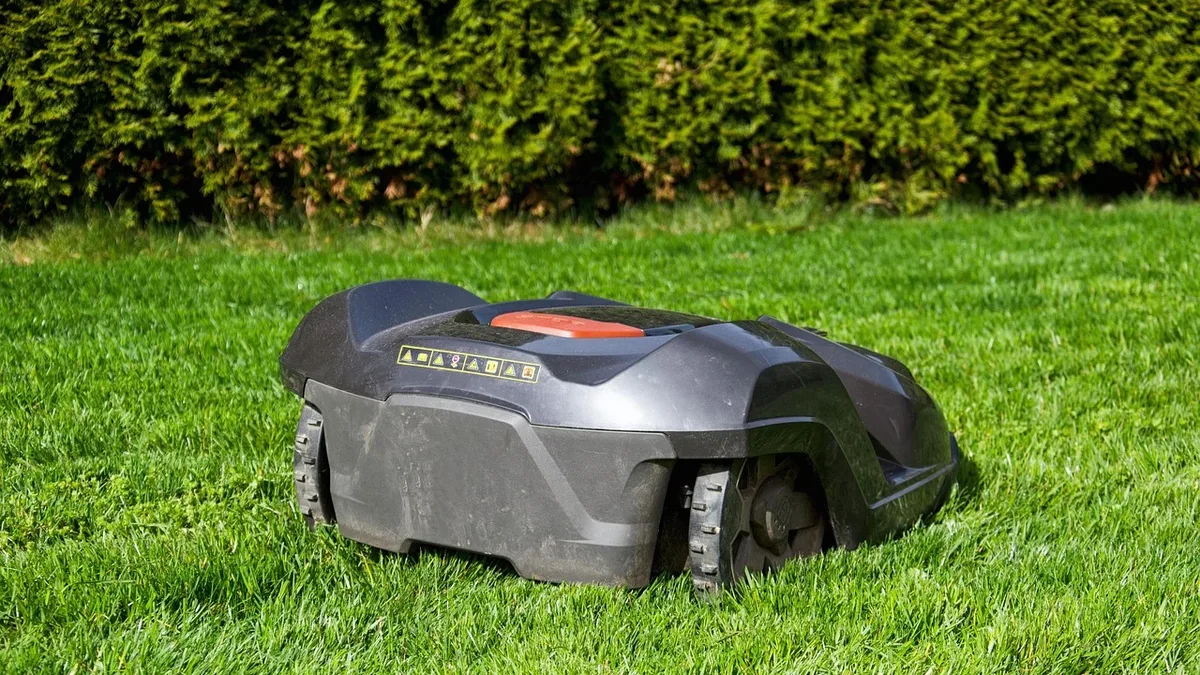 Garden Care: Grass, lawn, summer, nature, garden, landscape.