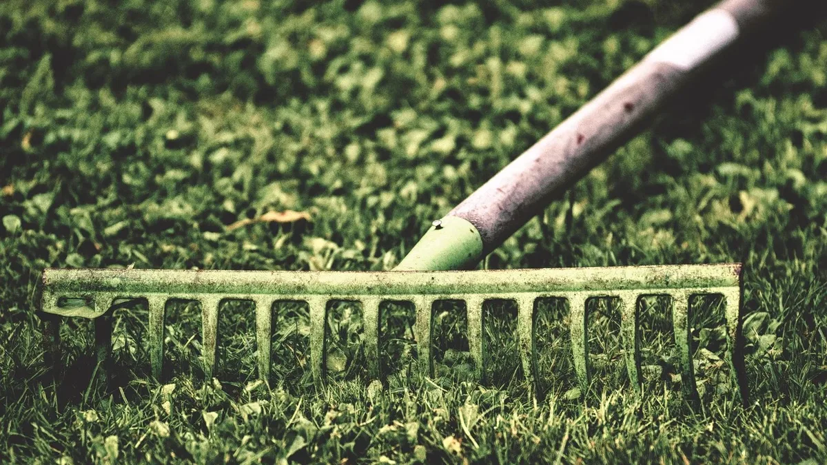 Garden Care: Computing, garden, work, gardening, nature, gardening equipment.