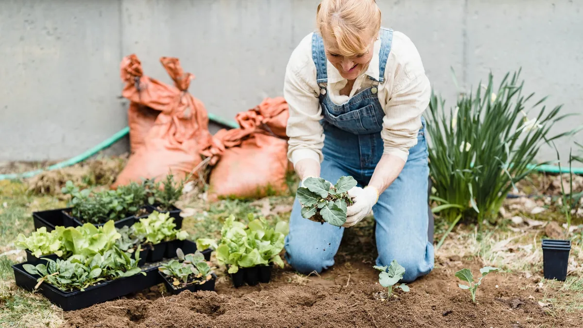 A Maryland gardener in Zone 7a expanded a small pond and redesigned her patio garden in 2025-2026, focusing on edible and...