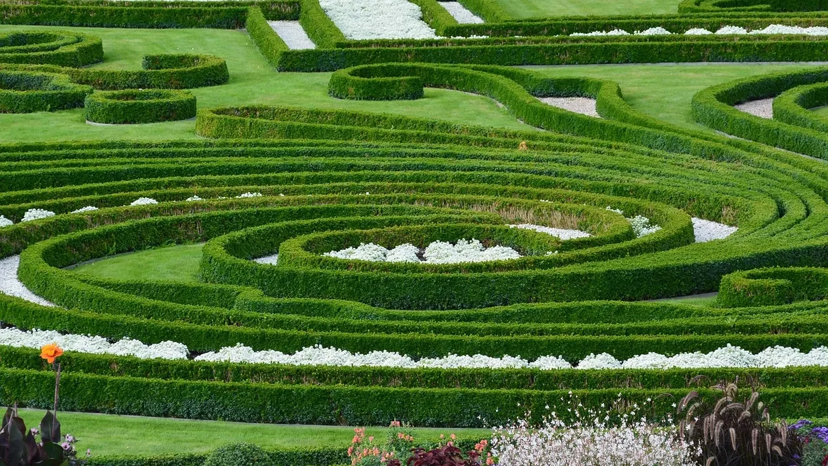 Paul Morrow Garden Designer outlines nine creative landscape designer tricks for drought-tolerant gardens that cut...