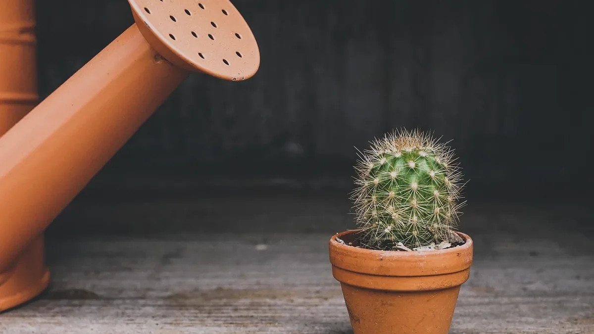 Terracotta pots wick moisture and retain heat, creating dry, alkaline conditions that suit some plants but harm others