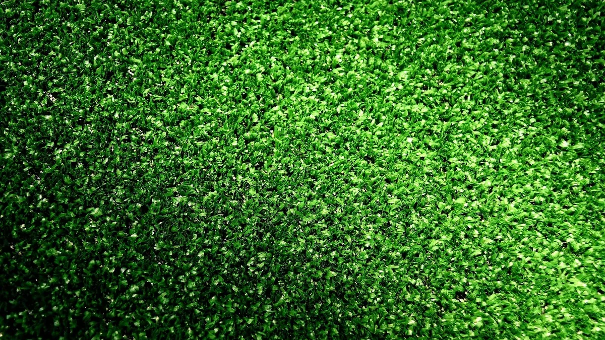 A lawyer explains the legal steps and neighborly considerations for planting a boundary hedge, advising to check local...