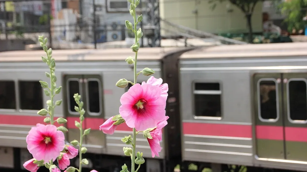 The Royal Horticultural Society has launched a new award for volunteer-maintained railway station gardens, with Cardross...