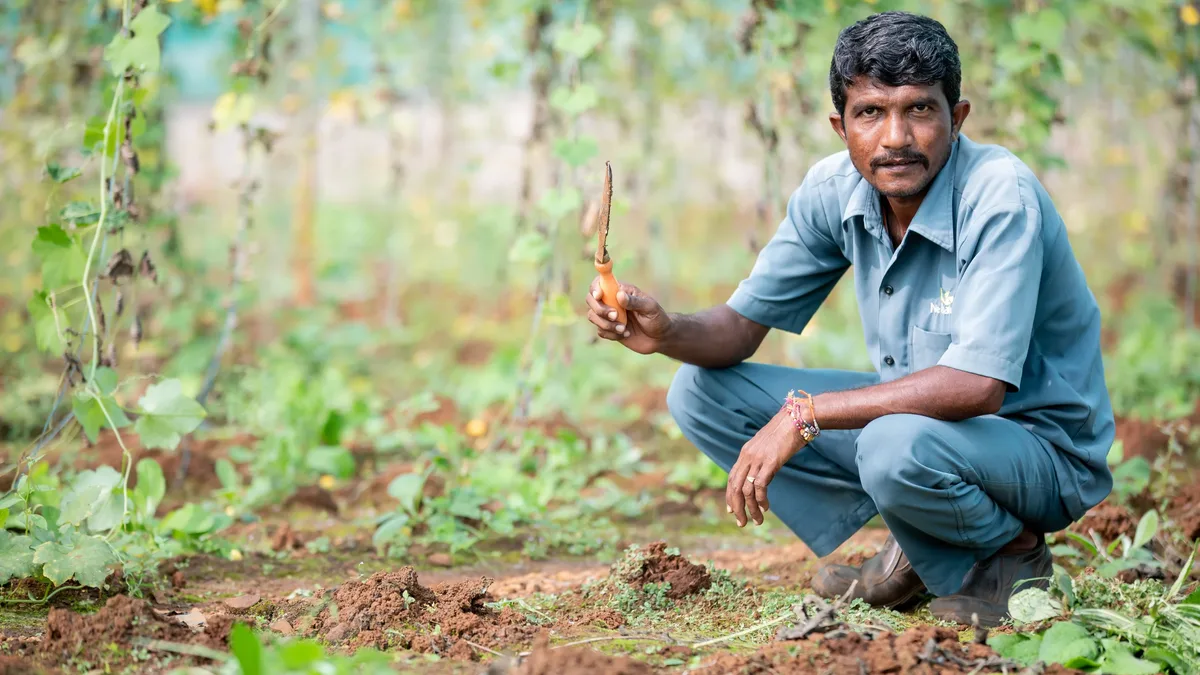 Plants: Portrait of a farmer in a green vegetable garden holding a tool.