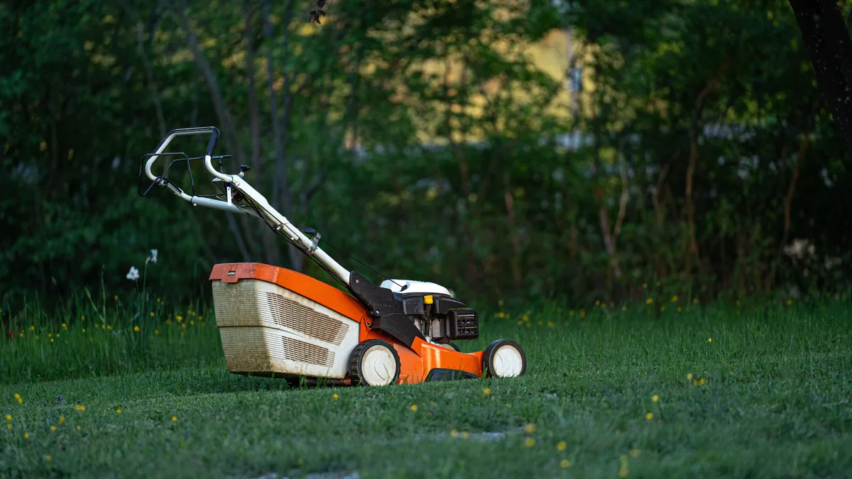 Plants: Gardeners must check lawns for chafer grub infestations this September