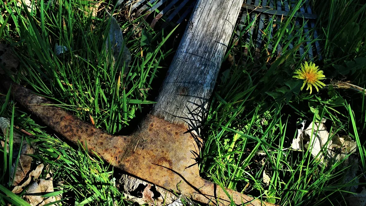 A rusty metal object, possibly a piece of machinery or a tool, lying on the ground in a grassy area with a dandelion flower