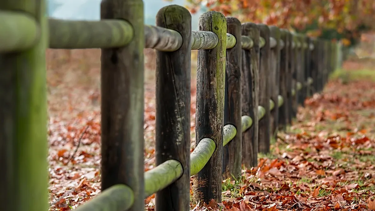 Gardeners can use free yard debris like shredded leaves, pine needles, and wood chips as effective winter mulch for...