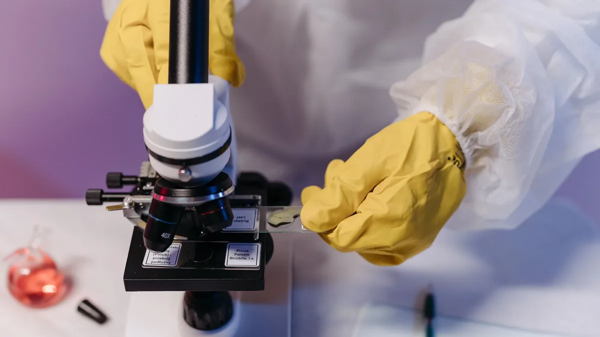 Researchers at Harvard have successfully kept brain organoids alive for over five years, observing a maturation process...