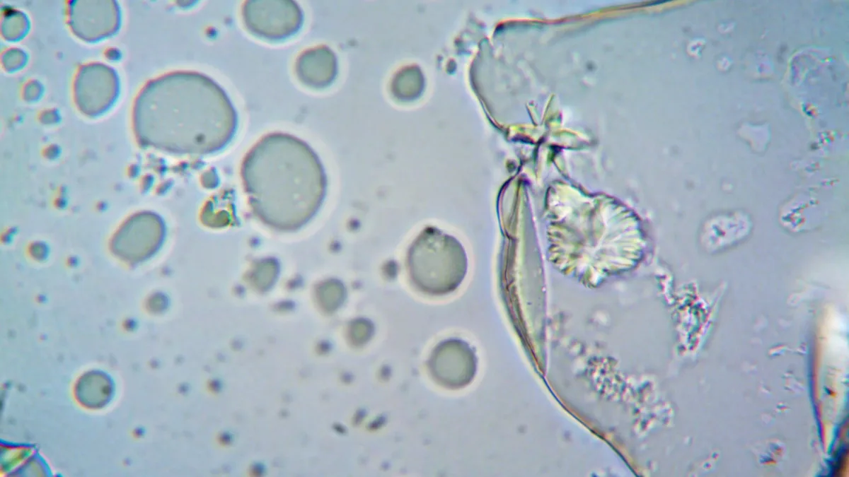 A Lancet comment published August 21, 2026, discusses rezpegaldesleukin, a novel therapy designed to expand regulatory T...