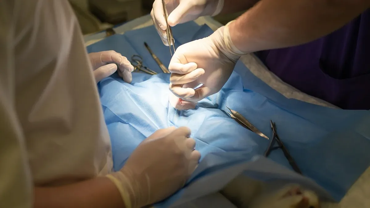 Regulation: Domestic, expertise, glove, injection, medical, people.