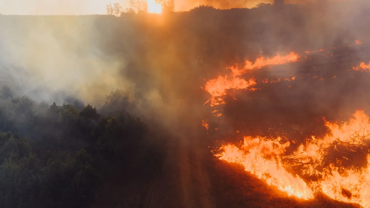 Indonesia has temporarily closed nine national parks and restricted access to four others as forest fires strain...