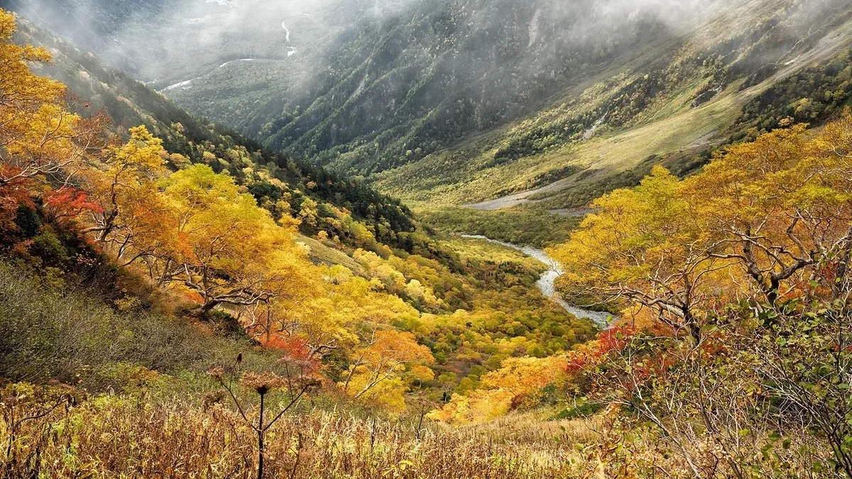 Policy Areas: Natural, autumn, yellow leaves, autumnal leaves, mountain, valley.