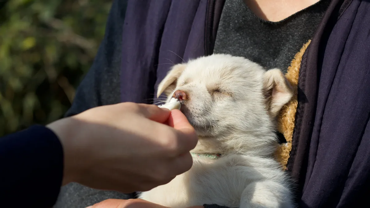Boehringer Ingelheim has opened a new US animal health headquarters in Georgia, while Nestlé Purina has launched a $550...