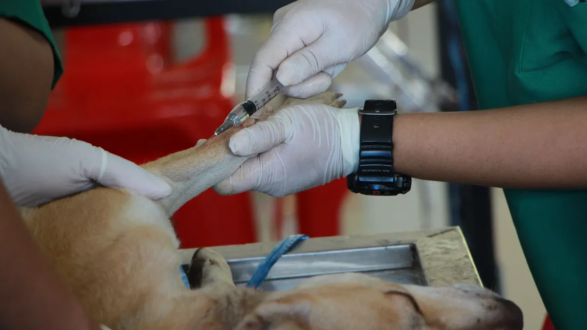 Dexmedetomidine is a selective α2-adrenoceptor agonist used in veterinary medicine for sedation and analgesia, with...