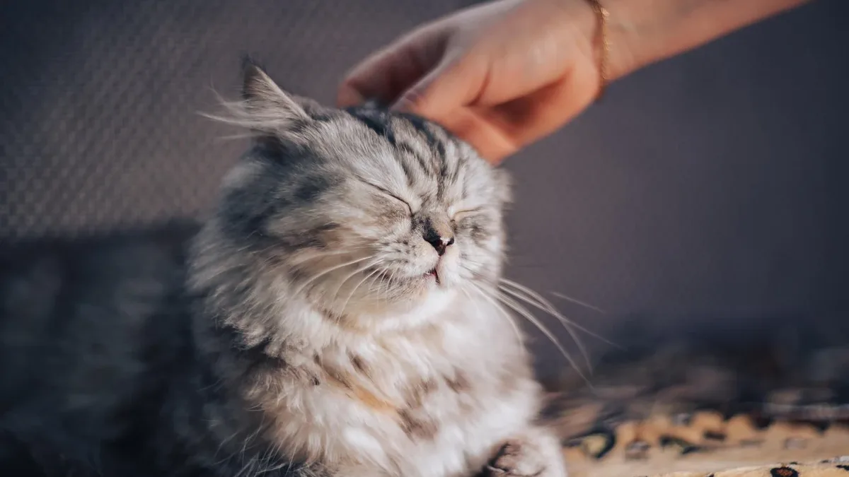 A webinar and conference aim to address the challenges faced by neurodivergent individuals in the veterinary industry