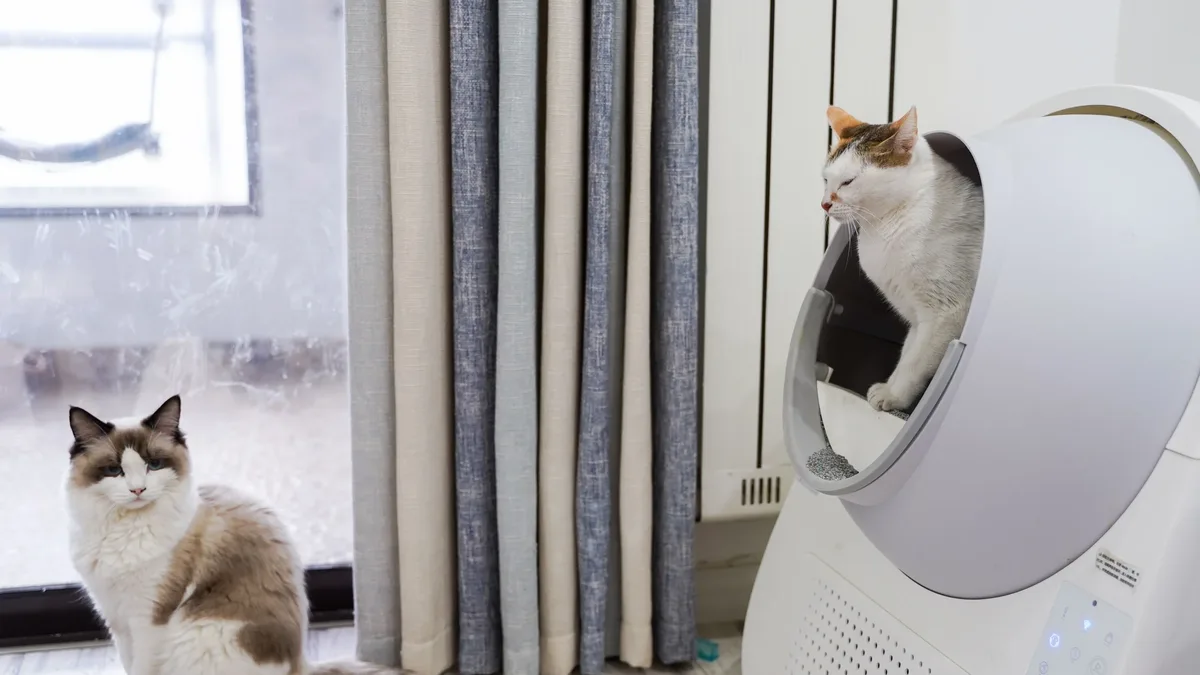 A study of 136 cats found those with chronic kidney disease urinated nearly twice as often, produced more urine, and...