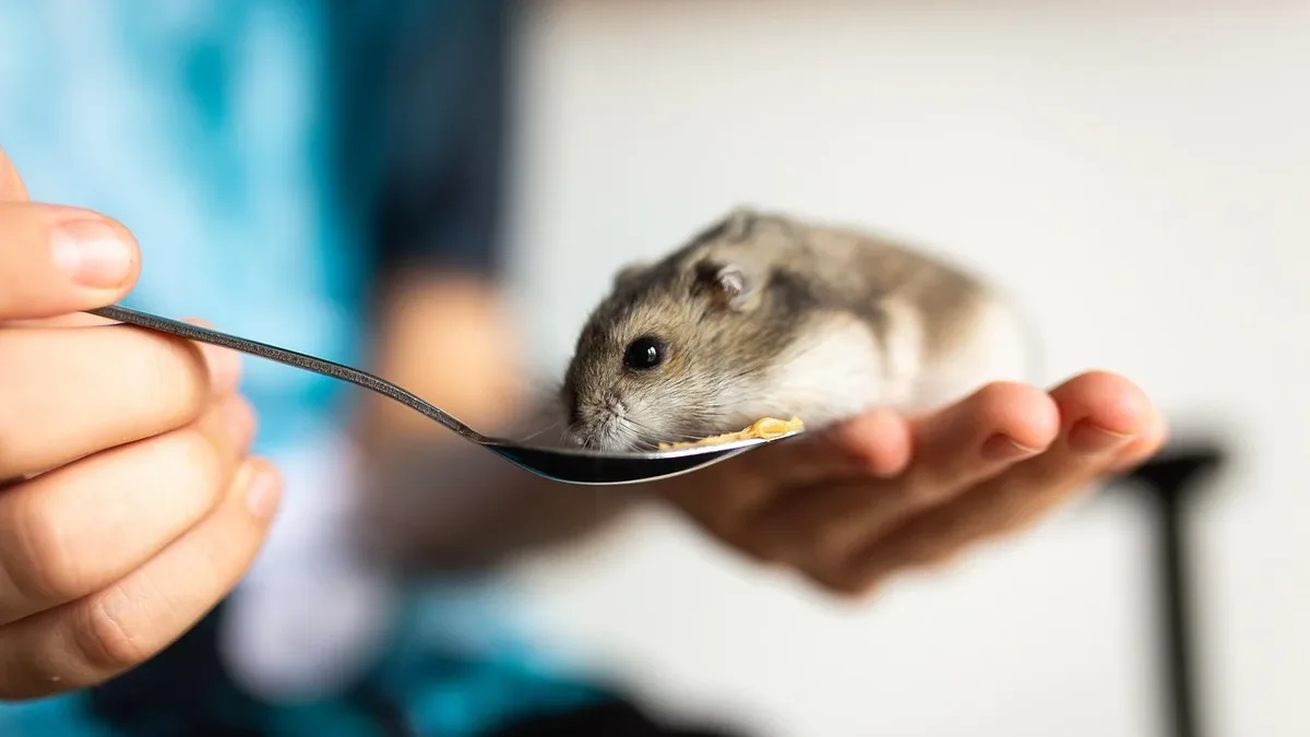 Veterinary Virtual Care Association installs new board president, Petco appoints new board member, and Odie Pet Insurance...