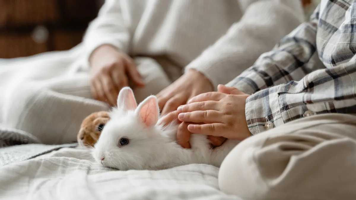 A look at the historical roots of the microbiome's influence on animal health and its modern applications in veterinary...