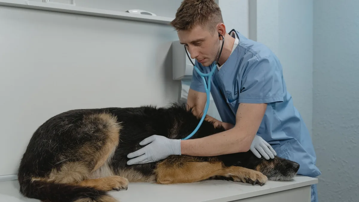 Rowan University's Shreiber School, NJ's first veterinary school, uses a block-based curriculum and integrated exams...